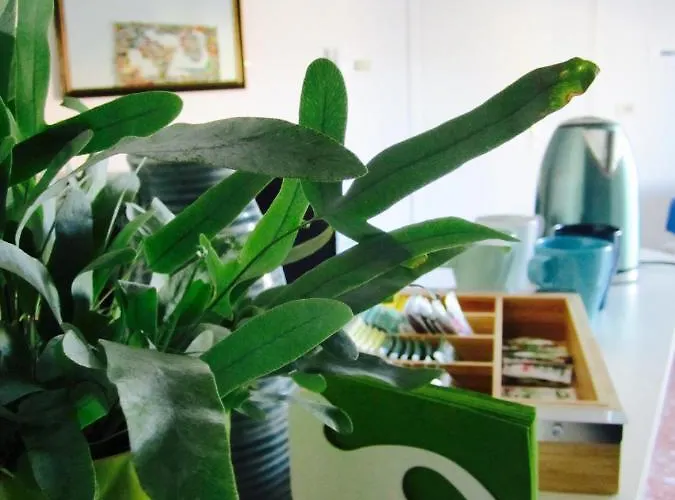 Le Stanze Di Ninni Casa de hóspedes Foligno